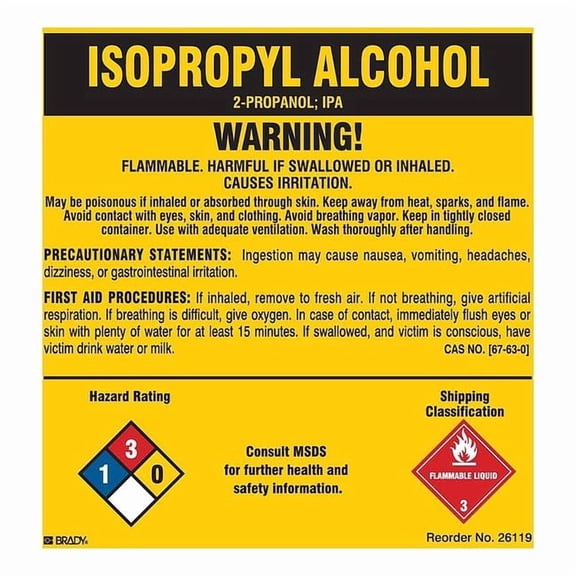 Brady Chemical Label,5 In. H,5 In. W,PK25 26119LS