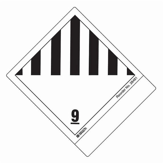 Brady 4" x 4-1/2" Shipping Labels, Blank, Paper, Pk100 28481LS