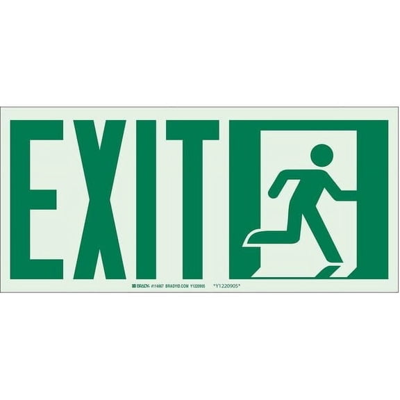 Brady Exit Sign,Exit,7"x15" 114668