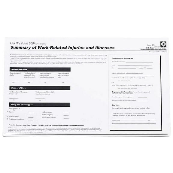 Brady Forms,OSHA 300A Log,PK25 OR300A
