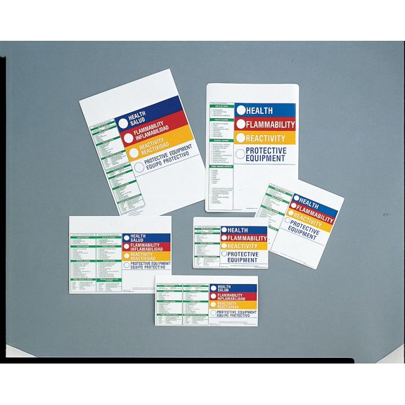 Brady HMIG Label,6 In. H,8 In. W,PK100  828LS