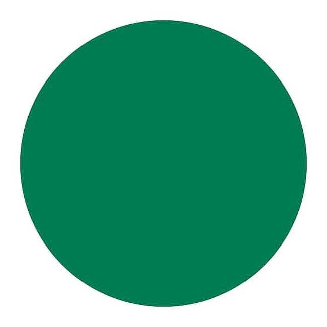 Brady Inventory Label, Green, Paper, PK500 30663
