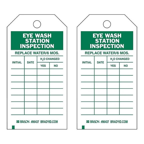 Brady Inspection Tag,7inHx4inW,HD Poly.,PK10 86499
