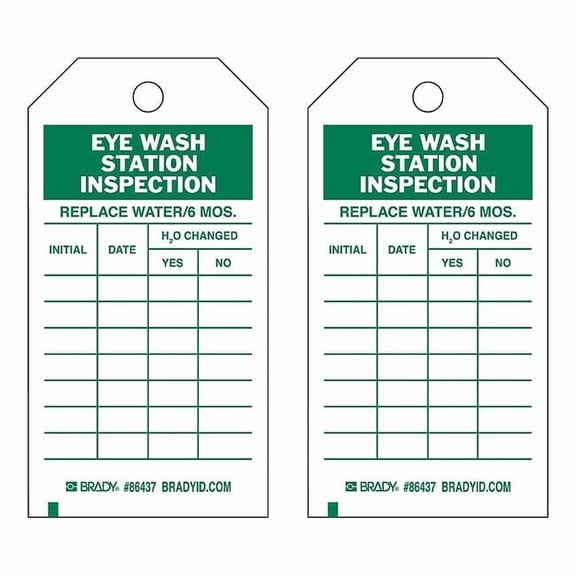 Brady Inspection Tag,7inHx4inW,HD Poly.,PK10 86499