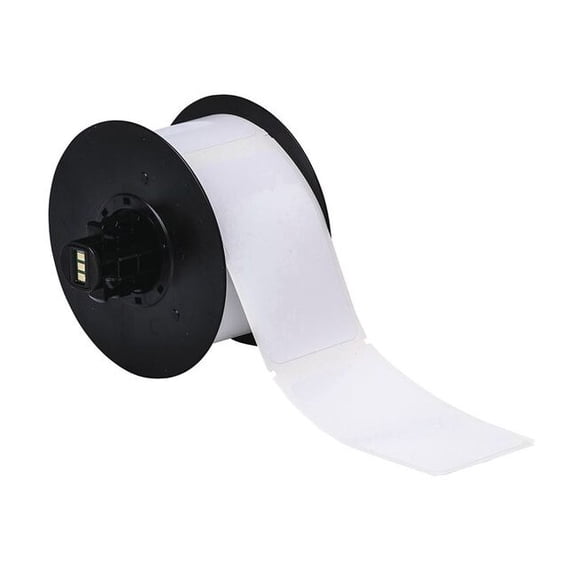 Brady Label, White, Labels/Roll: 250 B30-219-595-BLNKWT