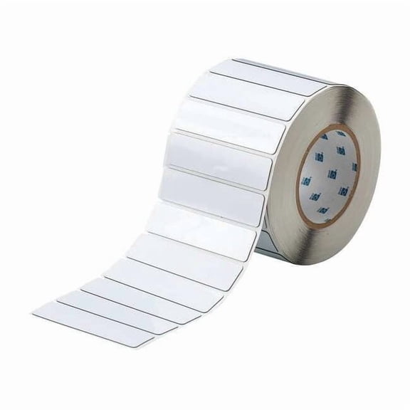 Brady Label, White, Labels/Roll: 500 THTEP-174-593-.5
