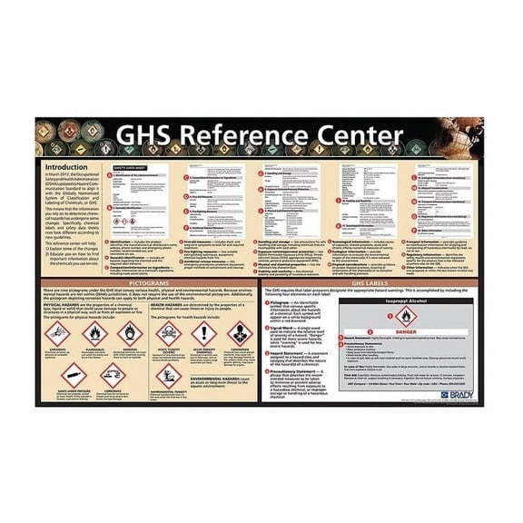 Brady Safety Poster,Laminated Paper,English 133209