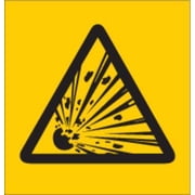 Brady RTK Pictogram Label, Pack of 36