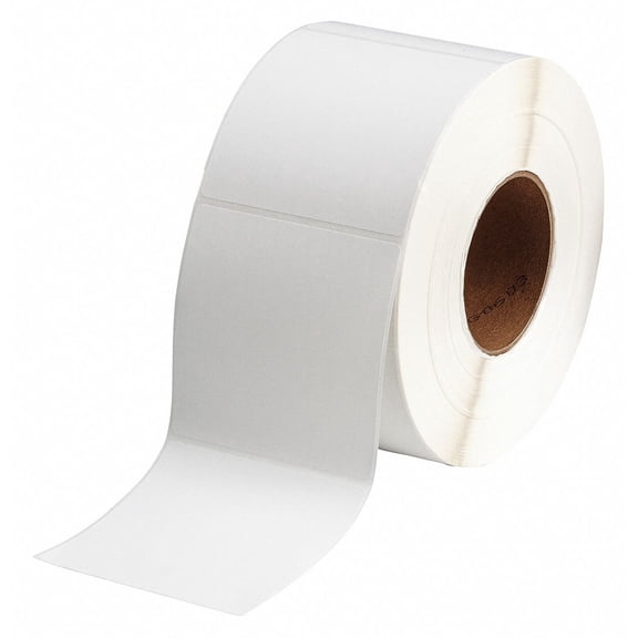 Brady THT-77-402-1.4 4" Width x 4" Height, B-402 Paper, Matte Finish White Thermal Transfer Printable Label (1400 per Roll) CA2