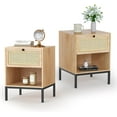 thumbnail image 1 of Brafab Rattan Nightstand Set of 2, End Table, Bedside Table, Rattan Side Table with Handmade Natural Rattan Decorative Door, Accent Table, Modern Nightstand for Bedroom, Living Room, 1 of 9