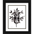 thumbnail image 1 of Bragg, Janel 19x24 Black Ornate Wood Framed with Double Matting Museum Art Print Titled - Botanical with Nagi Fern No. 3, 1 of 4