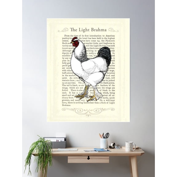 Brahma Rooster Vintage Collage Poster Wall Art, Modern Wall Decor For Living Room Bedroom, 12x18 UNFRAMED