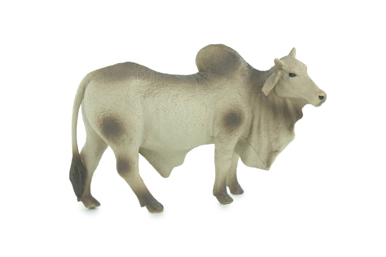 その他 PRE-ASSEMBLEDCOLLECTION BRAHMAN ELEPHAN その他 PRE-ASSEMBLEDCOLLECTION BRAHMAN ELEPHAN Buy quality