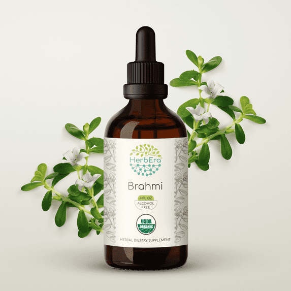 HerbEra Brahmi Tincture, Organic Herbal Dietary Supplement for Memory Support, Certified Organic Brahmi (Bacopa monnieri) Dried Herb Extract, Natural, Alcohol-Free, Drops 4 oz