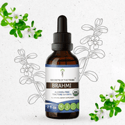 Secrets Of The Tribe Brahmi Organic Tincture Dietary Supplement, Natural Herbal Extract for Memory Support, Certified Organic Brahmi Bacopa monnieri Dried Herb, Alcohol-Free Extract, Drops 2 oz