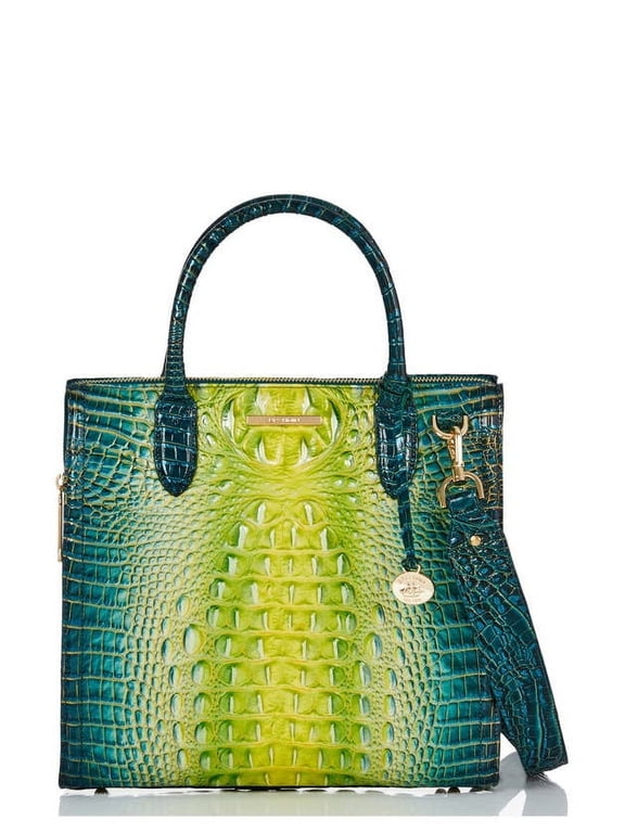 Caroline Zesty Green Ombre Satchel