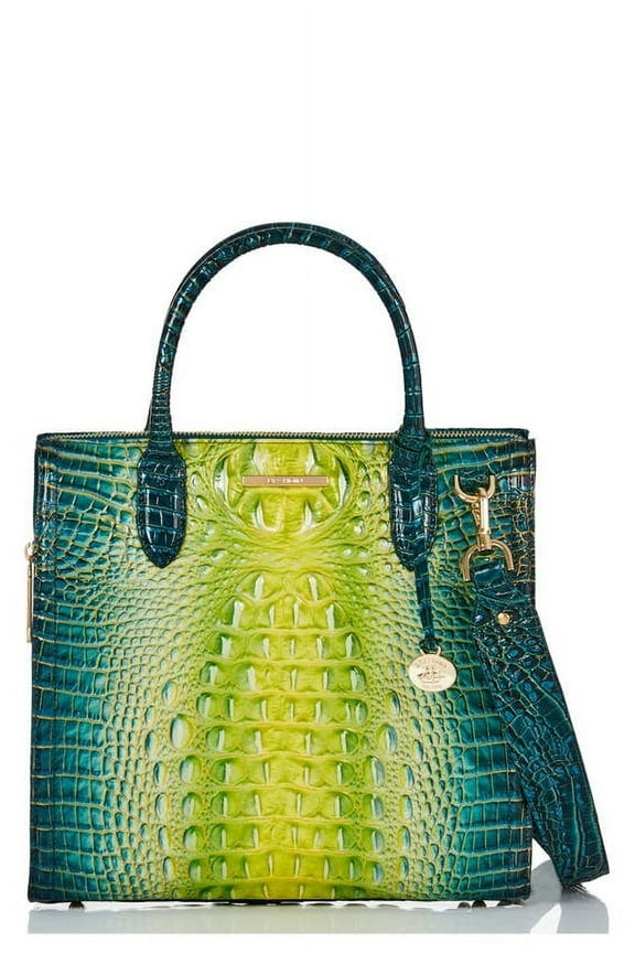 Caroline Zesty Green Ombre Satchel