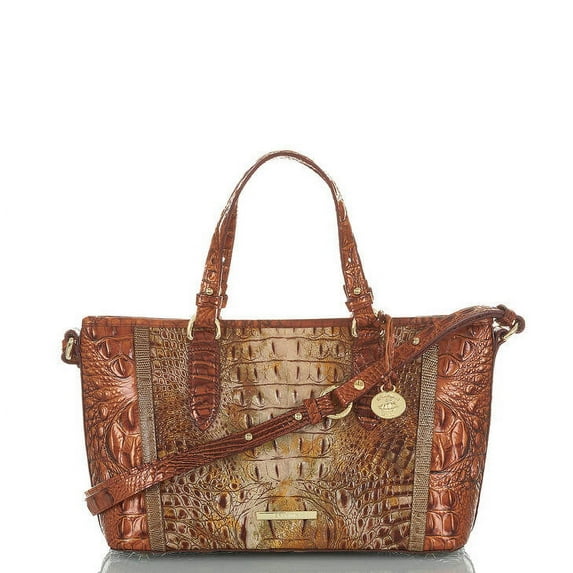 Brahmin Mini Asher Canyon Reed
