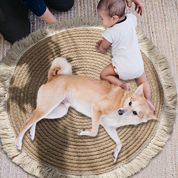 Braided Collection Area Rug, Washable Round Double-sided Woven Tassel Rug, Cat Scratching Rug, Soft and Fashionable Home Decor Easy To Clean Multiple Sizes, for Living Room, Bedroom 45CM