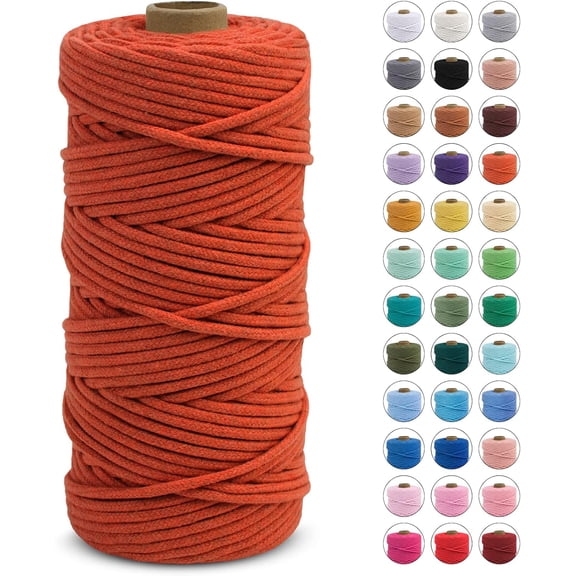 Braided Macrame Cord 3mm x 109 Yards, Rope Yarn Natural Cotton Craft String, Thread for Handmade Plant Hangers, Wall Hanging, DIY Crafts (Coral Red) Coral Red 109Yards