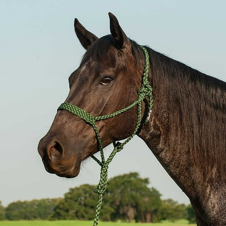 Braided Mule Tape Halter w/ 9' Lead, Full Color: Green