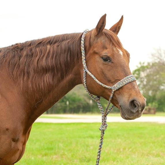 Braided Mule Tape Halter w/ 9' Lead, Full Color: Mardi Gras