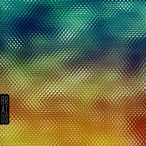 Braids - Native Speaker (10 Year Anniversary) (Green & Yellow Vinyl) - Music & Performance