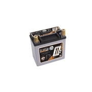 BRAILLE AUTO BATTERY B14115