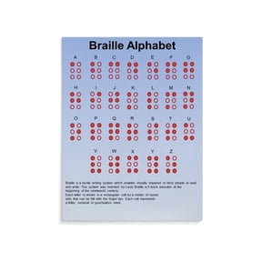Braille Sign Language Poster Canvas Wall Art Educational Decor