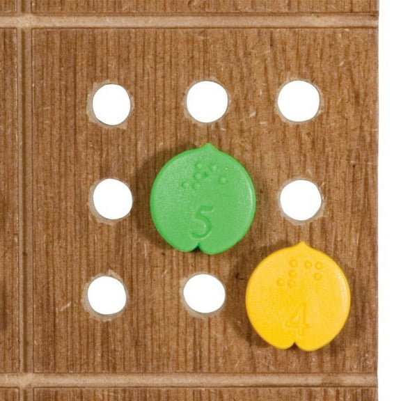 Braille Sudoku Puzzle Game with Board