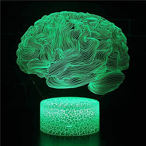Brain 3D Night Light 16 Color Change Lamp Acrylic Flat ABS Base USB Charger Home Decoration Toy Brithday Kid Children Gift