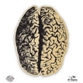 thumbnail image 1 of Brain - 8" Vinyl Sticker - For Car Laptop I-Pad - Waterproof Decal, 1 of 1
