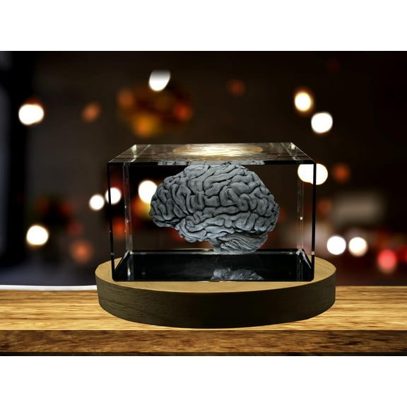 Brain Art | 3D Engraved Crystal Keepsake | Gift/Decor | Collectible | Souvenir | Personalized 3d Crystal Photo Gift | Customized 3d Photo Engraved Crystal