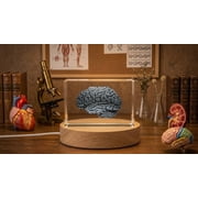 Brain Art | 3D Engraved Crystal Keepsake | Gift/Decor | Collectible | Souvenir | Personalized 3d Crystal Photo Gift | Customized 3d Photo Engraved Crystal