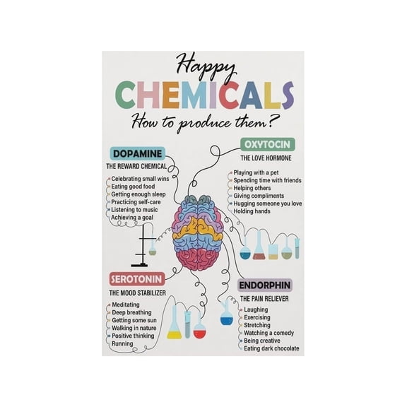 Brain Chemistry Educational Metal Sign Key Neurotransmitters Chart Neuroscience Wall Art for Classroom Office Decor 8 X 12 in