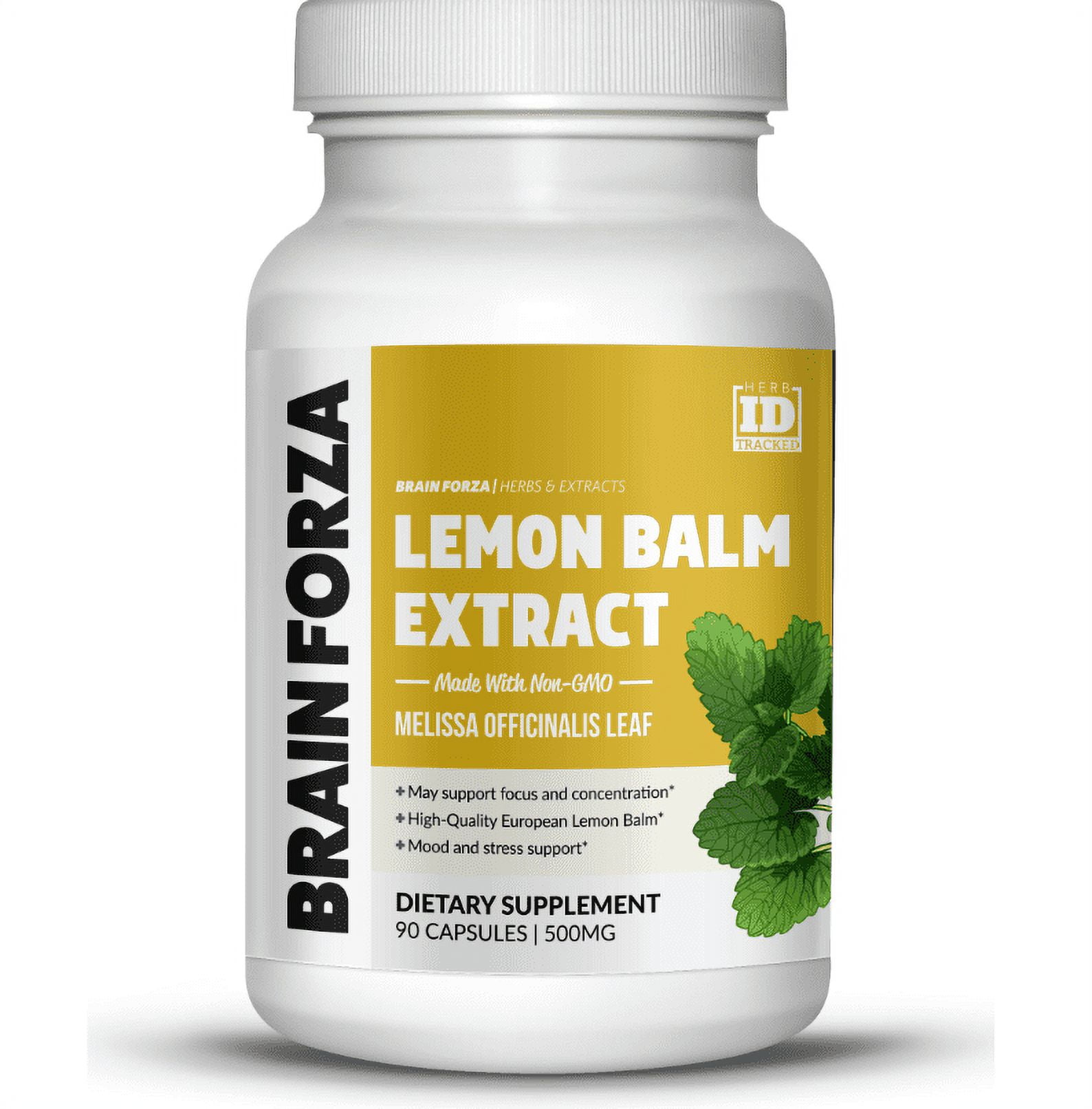 Beauty Brain Lemon Balm Kiwi Tea Brain Forza European Lemon Balm Extract Capsules for Stress, Focus and