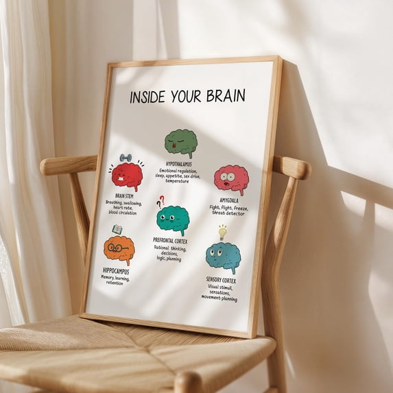 Brain Functions Parts Of Brain Inside Human Brain Therapy Decor Poster ...