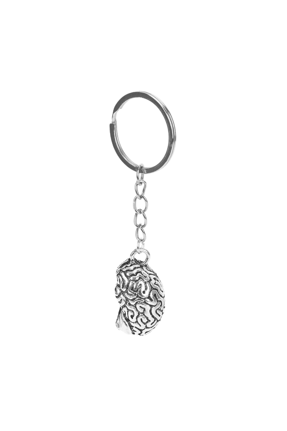 Brain Keychain Alloy Smart IQ Key Ring Fob Chain Medicine Human xwm25