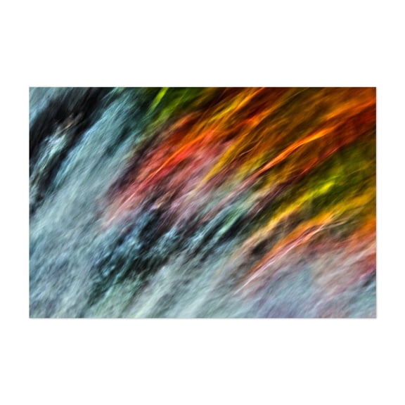 Brain Matter - Photography Unframed Wall Art Print 4 x 6 inches