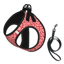 Brain Print Pet Leash Vest Small Dogs Cats Puppy Harness With Leash Reflective No Choke Small