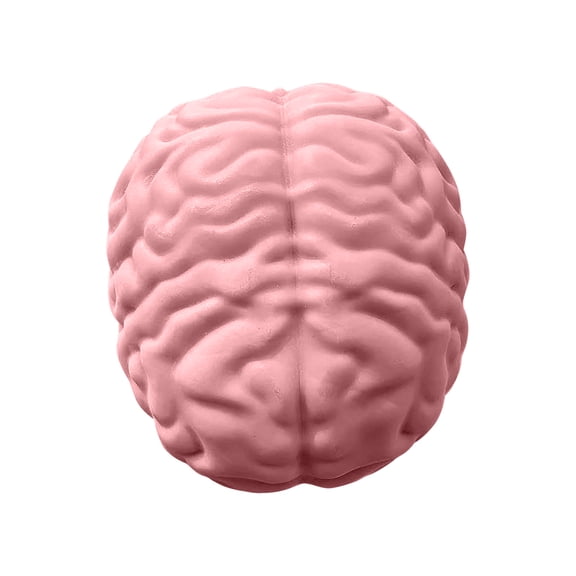 Brain Shaped Squishy Stress Toy with Slow Rising Flour, 1-Pack, Pink, for Relaxation, Squeeze Toy