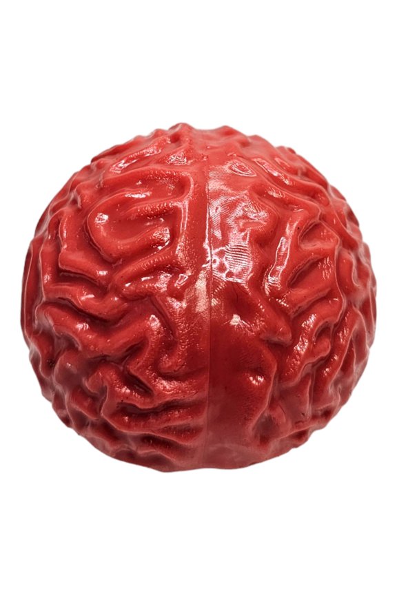 Brain Splat Ball (2.75 inch) (1 Pack) Unique Design Gel Party Favor and Game Prize