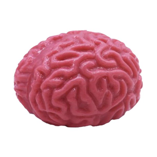 Brain Squeeze Balls Slow Rebound Stress Balls Realistic Fake Organ