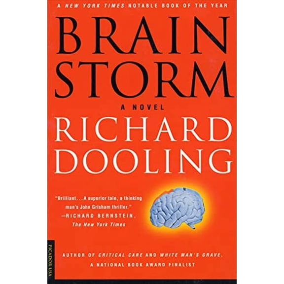 Pre-Owned Brain Storm : A Novel (Paperback) 9780312203993