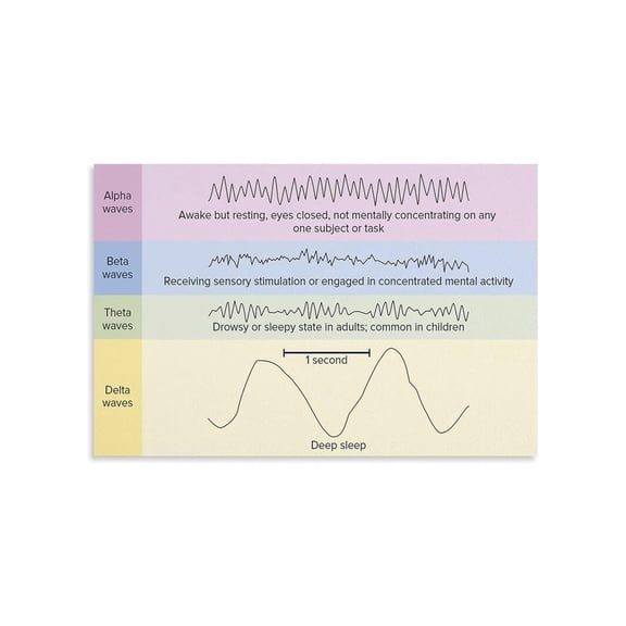 Brain Wave Types Science Poster Neural Oscillations Educational Chart Study Guide Canvas Wall Art For Classroom Office Home Decor