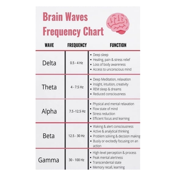 Brain Waves Educational Poster Neuroscience Frequency Chart of Gamma Beta Alpha Theta Delta for Consciousness Study Wall Art for Home Office Library