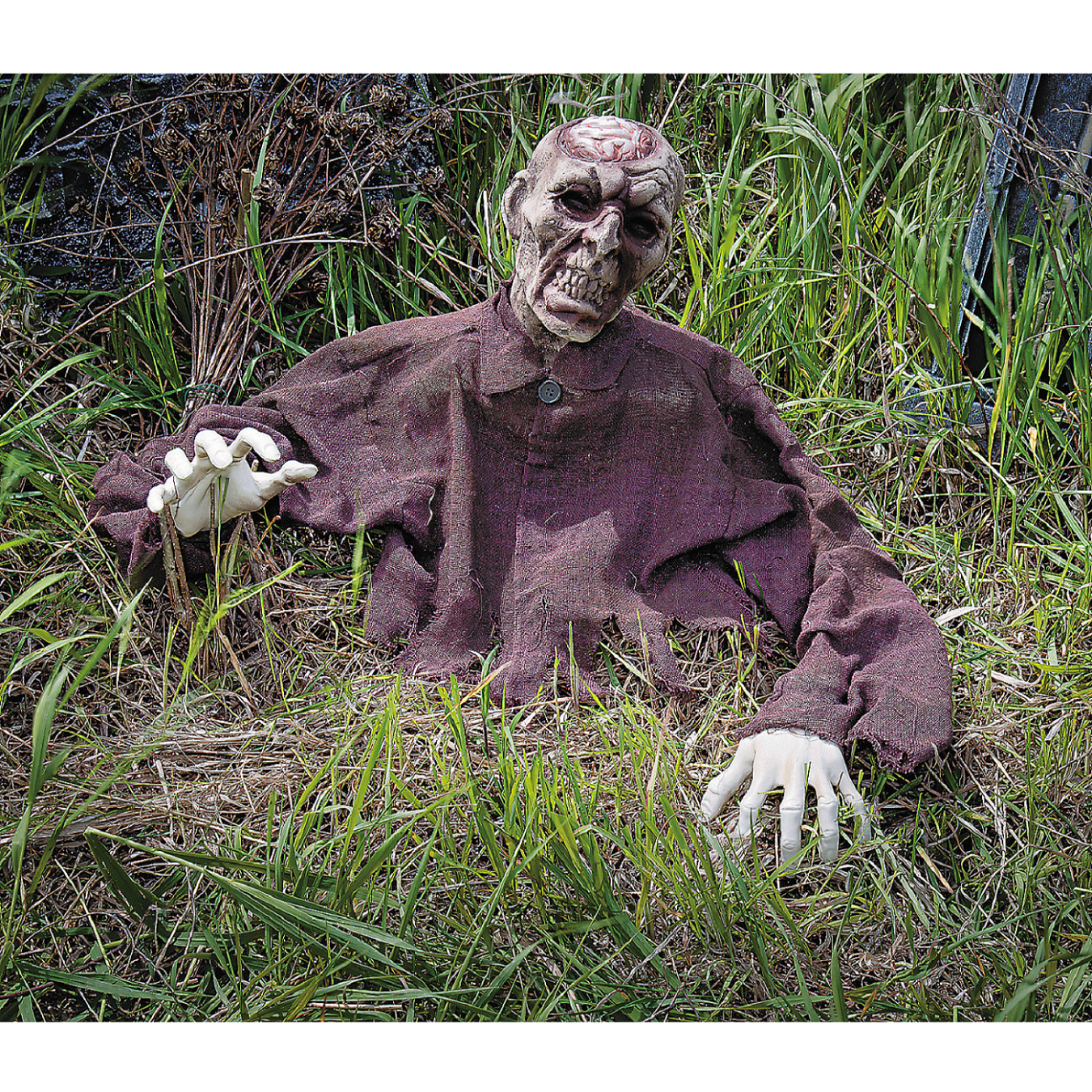 Brain Zombie Groundbreaker Halloween Decoration, Home Decor, Halloween, 8 Pieces