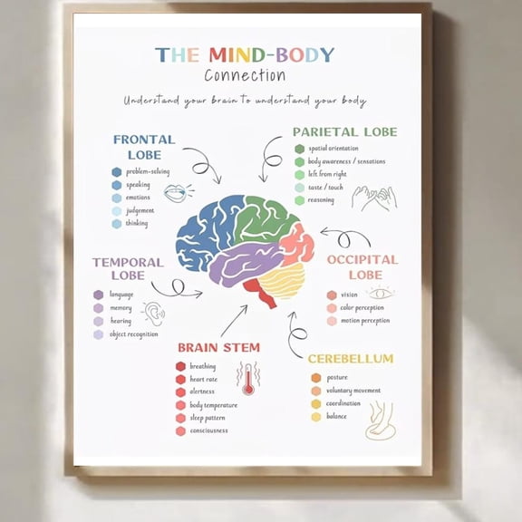 Brain anatomy wall art neuroscience educational poster wooden decor for office school counseling room