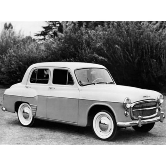 BrainBoosters Hillman Minx 18" x 24" Poster