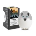thumbnail image 1 of BrainStream Wolf BeepEgg - Adorable Egg Timer That Plays Melodies for Soft, Medium & Hard-Boiled Eggs - No Guesswork, Fun Kitchen Gadget for Kids, Campers & Wildlife Lovers - Made in Germany, 1 of 6